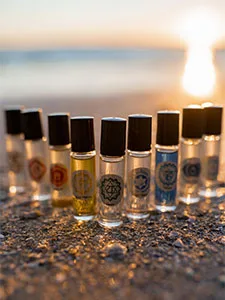 Horse Whisperer ~ Vickie Luna