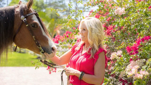 Horse Energy Healing & Readings by Vickie Miller