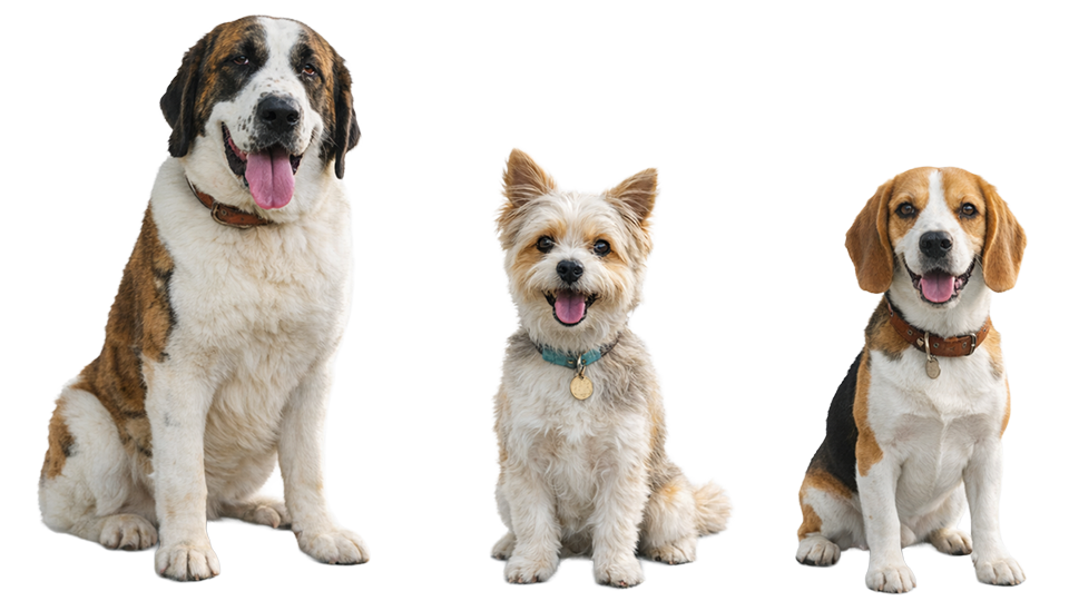 Vickie loves to be the voice for pets.