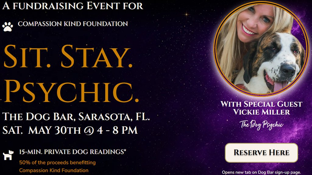 Dog-Bar-Sarasota-FL-May-30-1024x576